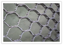 龜甲網(wǎng) - 價(jià)格:面議/平方米 - 河北永乾金屬絲網(wǎng)制品-價(jià)格庫(kù)-產(chǎn)品報(bào)價(jià)-價(jià)格中心