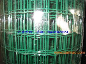 河南葉縣、新鄉、焦作荷蘭網 生產廠家與價格指南